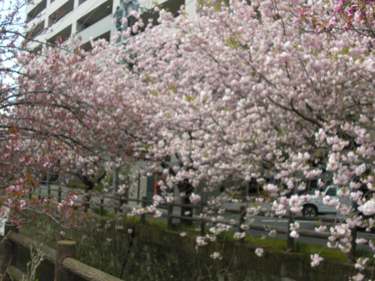 Plaza Hotel Fujinoi Hita Exterior photo